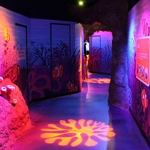 undersea representation