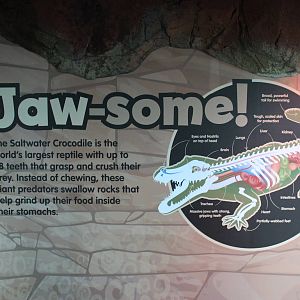 signage for crocodile display
