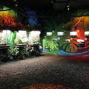 display area for invertebrates