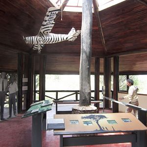 Grzimek Room at Visitors Centre