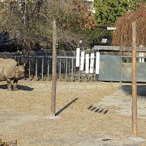 Enrichment for rhino