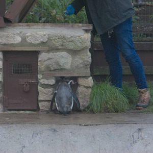 Does Keeper Ed exist? 22nd November 2014