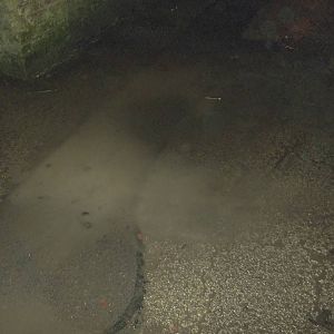 Not the Hippopotamus Lake at Flamingo Land, 22nd Novemebr 2014