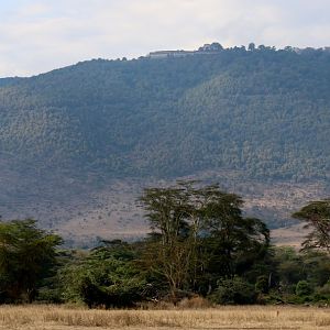 Ngorongoro Crater, with lions & Ngorongoro Widlife Lodge