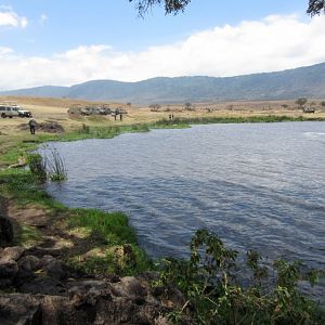 Picnic area by Gorgigor Swamp