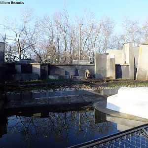 Not the best polar bear exhibit