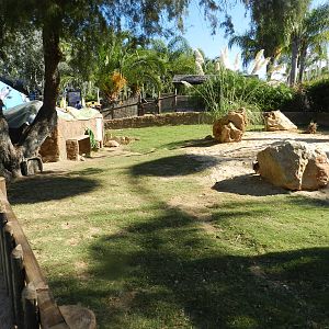 Enclosure for African Spurred tortoise.