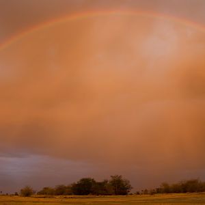 Rainbow at Lake Manyara