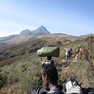 Porters headed towards Mawenzi
