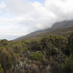 Kikilewa Camp in distance