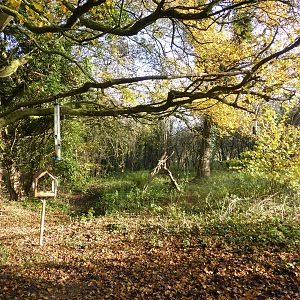 View from Bird Hide