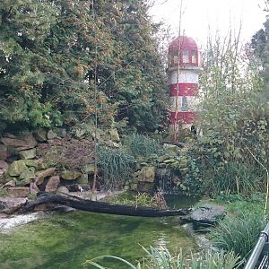 Humboldt penguin enclosure