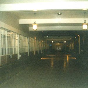 Antelope House Interior