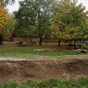 Lesser Kudu Exhibit