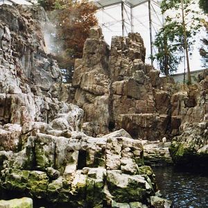 Puffin Exhibit detail