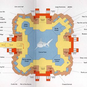 Map Lower Level-Underwater habitats