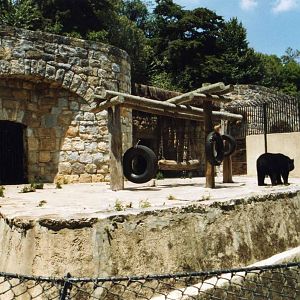 Grotto for Himalayan black bears