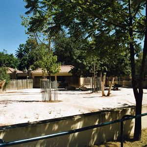 Gemsbok Exhibit