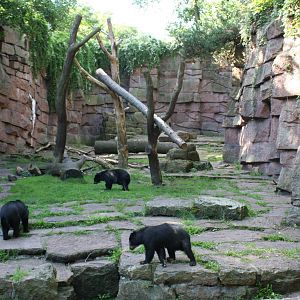 Spectacled Bear enclosue @ Berlin Tierpark: Sept 2007