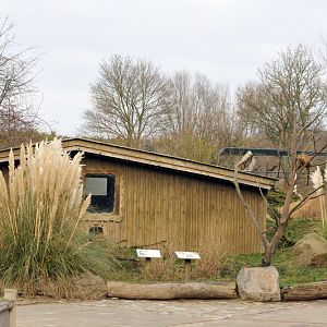 Coati enclosure at grömitz