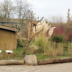 Coati enclosure at grömitz
