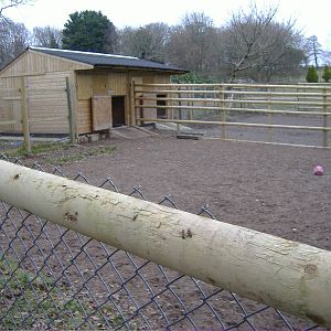 new tapir house and yards dartmoor