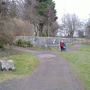 veiw of new cages on front lawn dartmoor