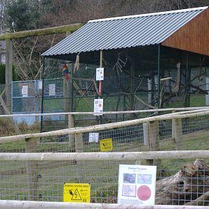 new macaw cage dartmoor