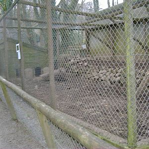 empty exhibit dartmoor