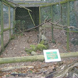 empty exhibit dartmoor