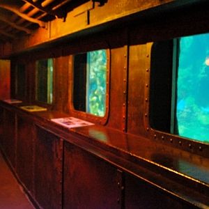 Sea Life Centre Brighton 2009