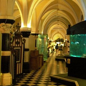 Sea Life Centre Brighton 2009