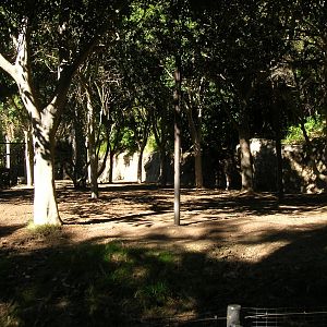 Okapi Exhibit 1-12-09