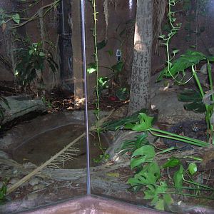 Reticulated Python Exhibit 1-12-09