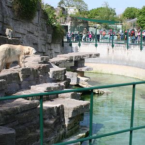 Polar Bear enclosure @ Schonbrunn Zoo, Vienna 19.04.07