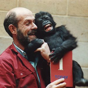 Nadia the gorilla's first birthday 1993