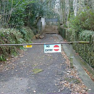 Veiw up to bears dartmoor