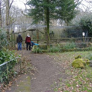 birds of prey dartmoor