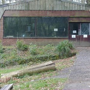 site of reptile house dartmoor