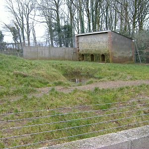 empty big cat enclosure dartmoor