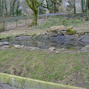 new otter pool dartmoor