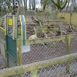 new agouti exhibit dartmoor