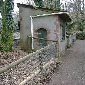 monkey house dartmoor
