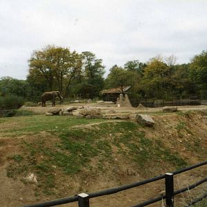 Elephant Enclosure