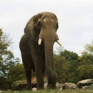 Another Shot of Jackson