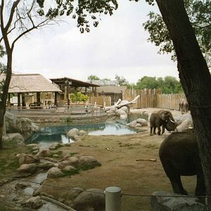 Elephant Exhibit
