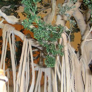 miniature zoological park