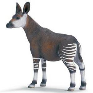 okapi