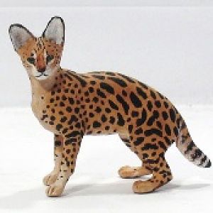 serval3