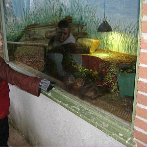 new exhibit for cuisamene(?) dartmor